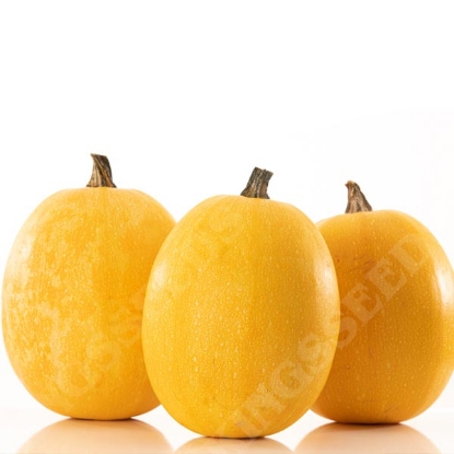 Picture of Squash Aldente F1